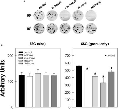 HIV Aspartic Peptidase Inhibitors Modulate Surface Molecules and Enzyme Activities Involved with Physiopathological Events in Fonsecaea pedrosoi